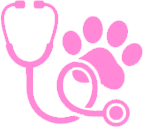 Health Factors with Paw