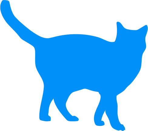 Male Cat